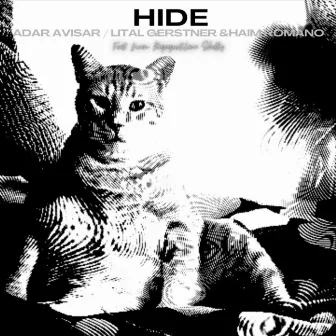 Hide (Instrumental) by Haim Romano