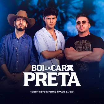 Boi da Cara Preta by Pedro Paulo & Alex