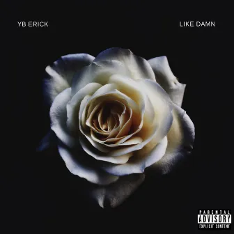 Like Damn by Yb Erick