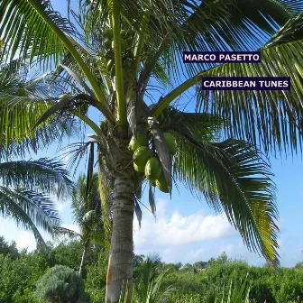 Caribbean Tunes by Marco Pasetto