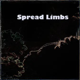 Spread Limbs by Phillippia