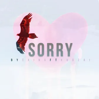 Sorry by Cking