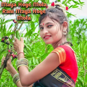 Maya Hoge Mola Rani Maya Hoge Mola by Kamal Raj Sandilya