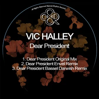 Dear President by Vic Halley