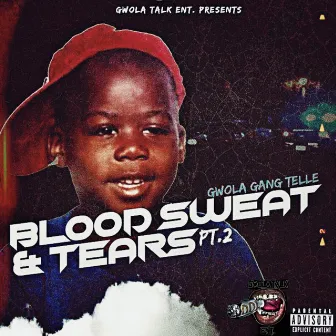 Blood Sweat & Tears Pt. 2 by Gwola Gang Telle