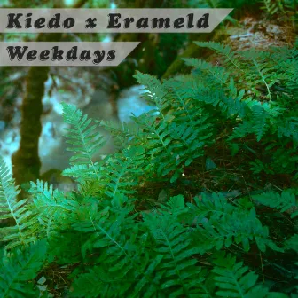 Weekdays by Erameld