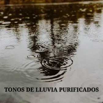 Tonos De Lluvia Purificados by Los Niños Cantores del Oriente