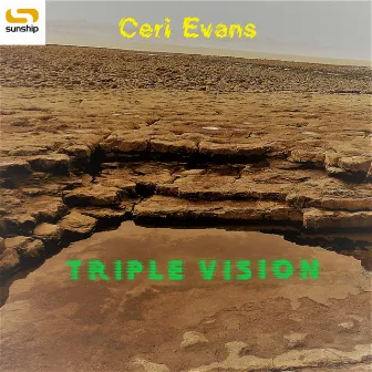 Triple Vision (3D Mix) by Ceri Evans