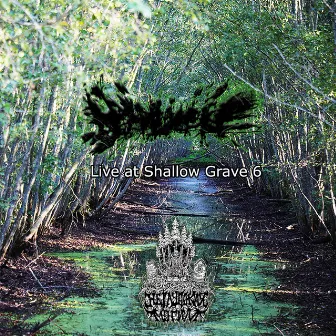 Live at Shallow Grave 6 by Hydrocele