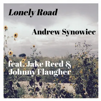 Lonely Road by Andrew Synowiec