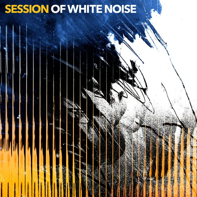 Session of White Noise