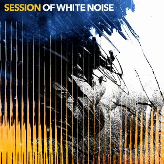 Session of White Noise by White Noise