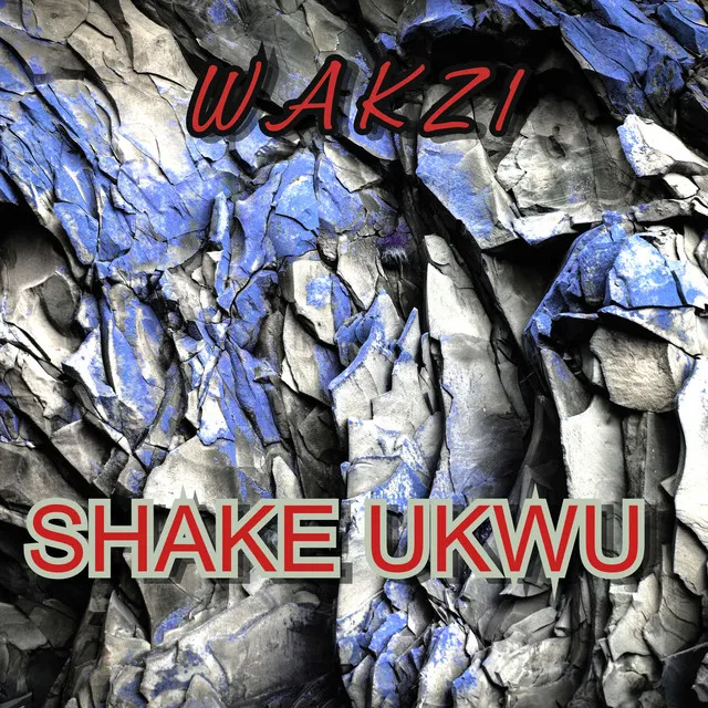 SHAKE UKWU