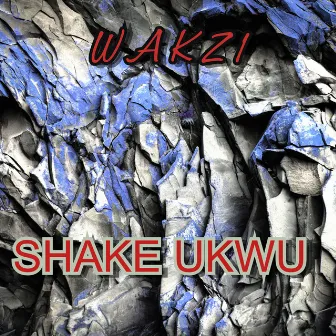 SHAKE UKWU by Yung Blud