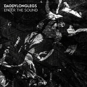 Enter the Sound by DADDYLONGLEGS