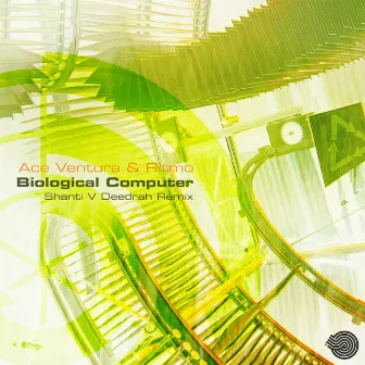 Biological Computer by Ritmo