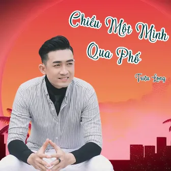 Chiều Một Mình Qua Phố by Triệu Long