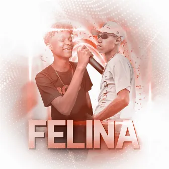 Felina by Mc Matheuzinho PZS