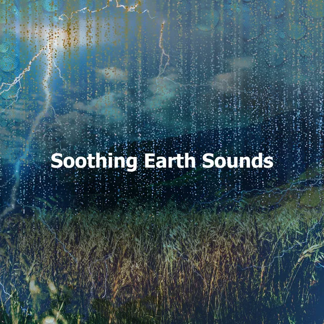 Soothing Earth Sounds