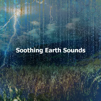 Soothing Earth Sounds by Rainforest Spa Music