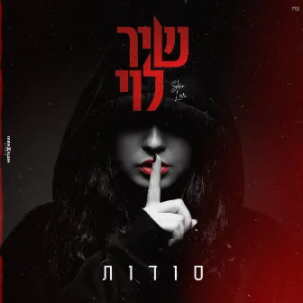 סודות by Shir Levi