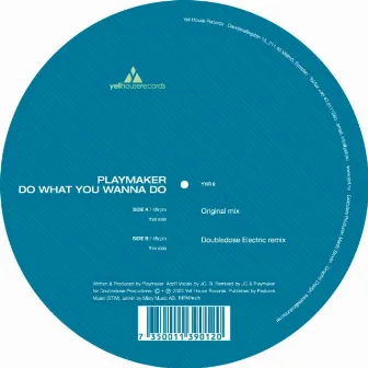 Do What You Wanna Do by PLAYMAKER