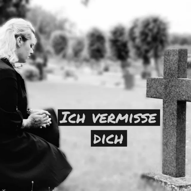 Ich vermisse dich (Radio Edit)