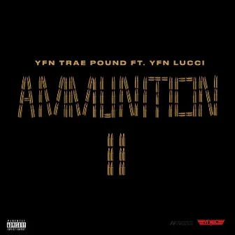 Ammunition 2 by YFN Trae Pound