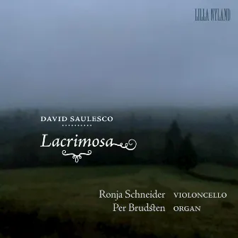 Lacrimosa by David Saulesco