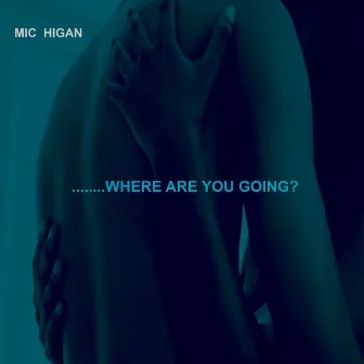 Where Are You Going by Mic Higan