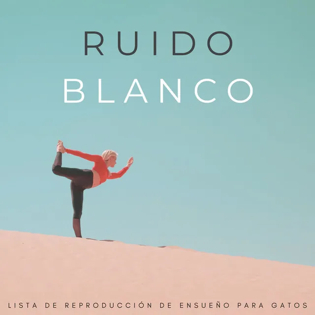 Ruido Blanco: Lista De Reproducción De Ensueño Para Gatos