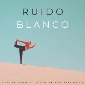 Ruido Blanco: Lista De Reproducción De Ensueño Para Gatos by Ruido blanco desestresante