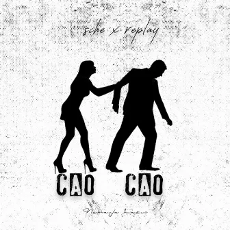 Cao Cao by Sche