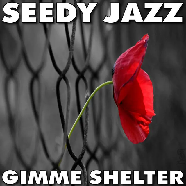 Seedy Jazz - Gimme Shelter