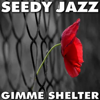 Seedy Jazz - Gimme Shelter by Seedy Jazz