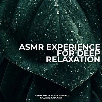 A.S.M.R Experience for Deep Relaxation by ASMR White Noise Project