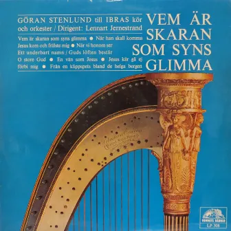 Vem är skaran som syns glimma by Göran Stenlund