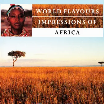 Impressions of Africa by K'Zula