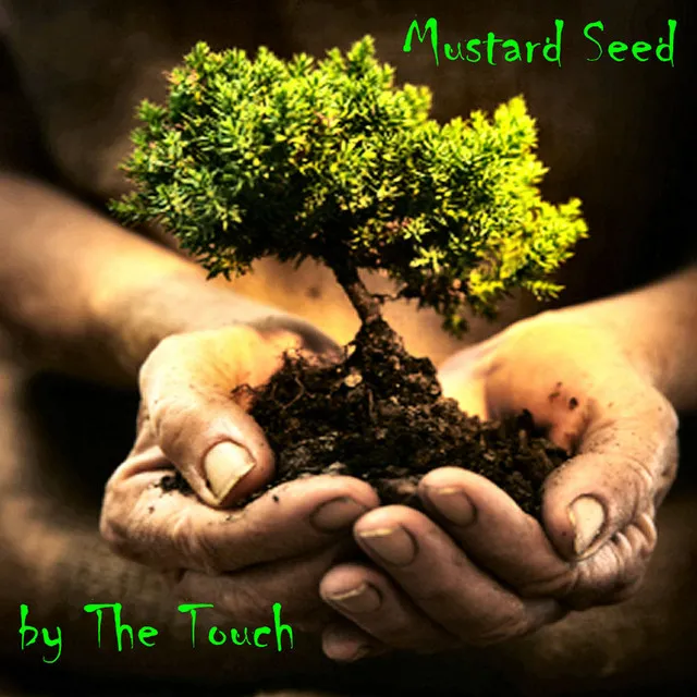 Mustard Seed