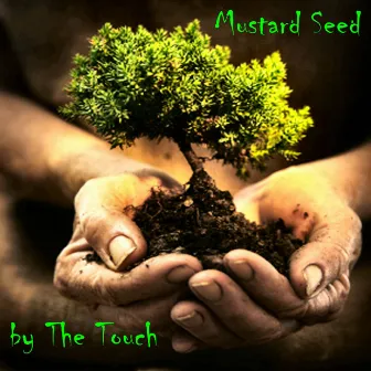 Mustard Seed by Paula Williams