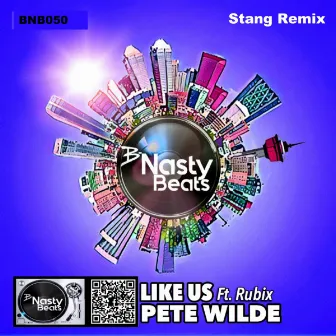 Like Us (Stang Remix) by Pete Wilde