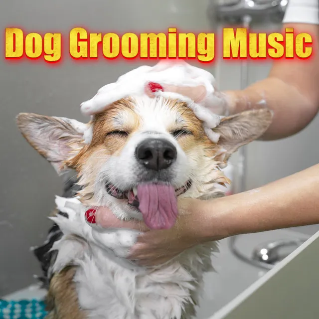 Dog Grooming Music