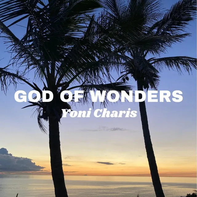 God of Wonders