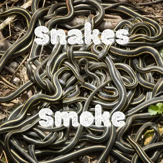 Snakes by Smoke