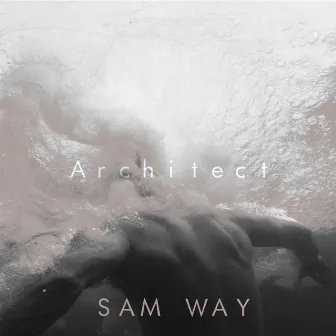 Architect by Sam Way