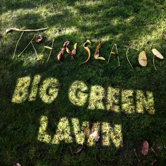 Big Green Lawn by Translator