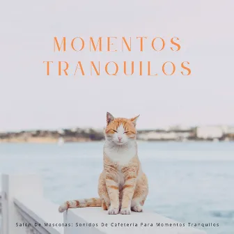 Salón De Mascotas: Sonidos De Cafetería Para Momentos Tranquilos by Café ChillHop