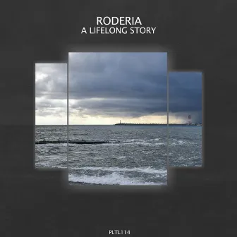 A Lifelong Story by Roderia