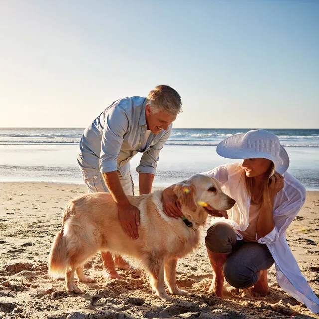 Ocean Calm: Binaural Pet Soothing Sounds