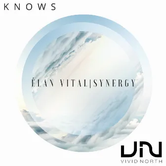 Elan Vital by Knows